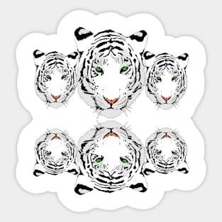 Tigers Sticker